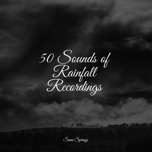 Rain, Storm and Thunder cover art
