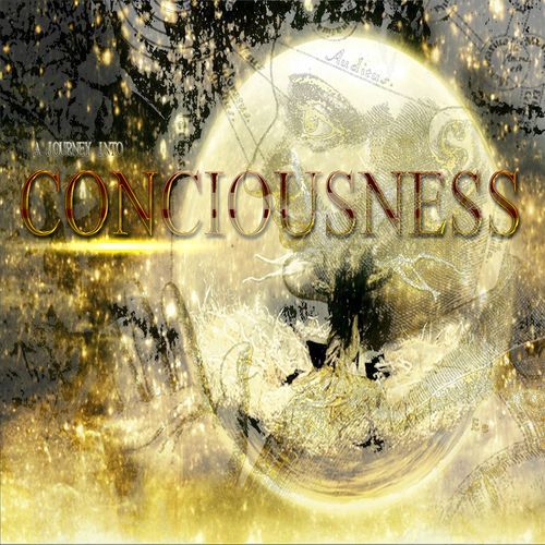 A Journey into Consciousness