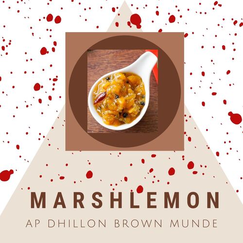 AP Dhillon Brown Munde cover art