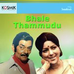 Devudiehhinna Vayasentha