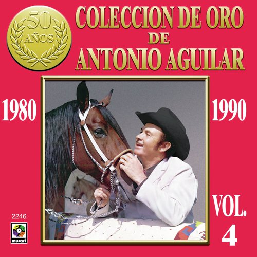 Anillo grabado letra antonio aguilar sale