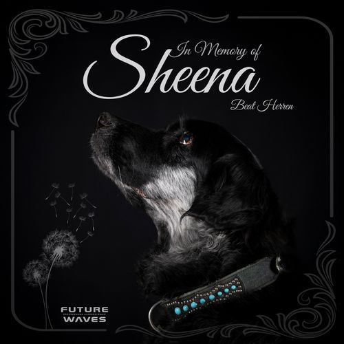 In Memory of Sheena_poster_image