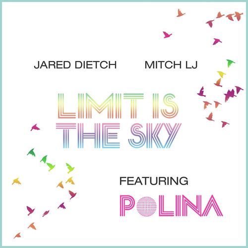 Limit Is the Sky (feat. Polina)_poster_image