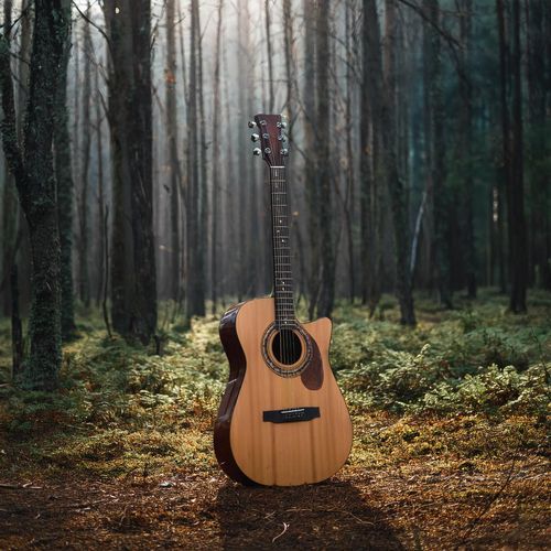 Música De Guitarra Para Flotar Entre La Luz Del Bosque Y Brisas Suaves