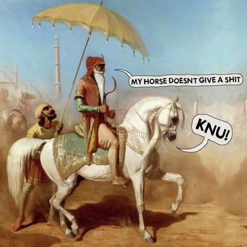 Erwin cover art
