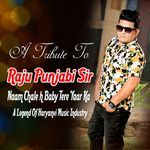 Naam Chale H Baby Tere Yaar Ka (A Tribute To Raju Punjabi Sir) (Original) artwork