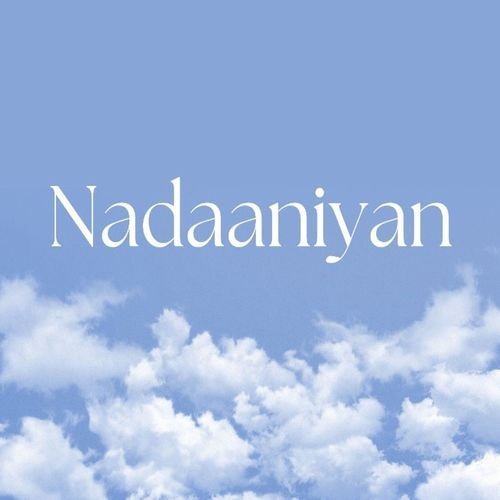 Nadaaniyan