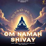 Om Namah Shivay