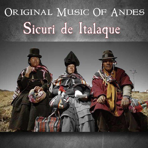 Tu Ayllu cover art