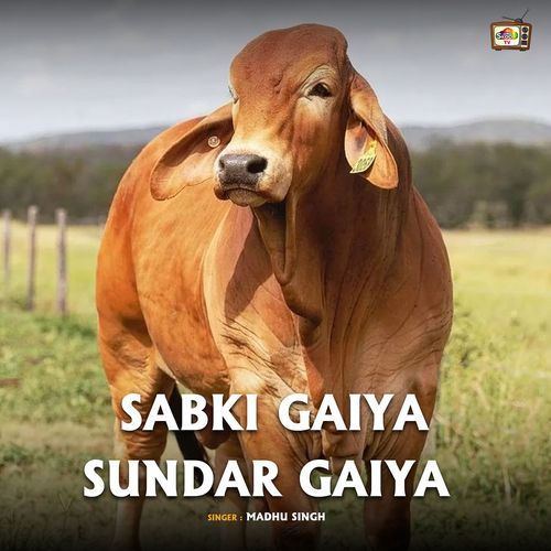 Sabki Gaiya Sundar Gaiya