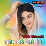 Sahil Teri Bhandi Niche