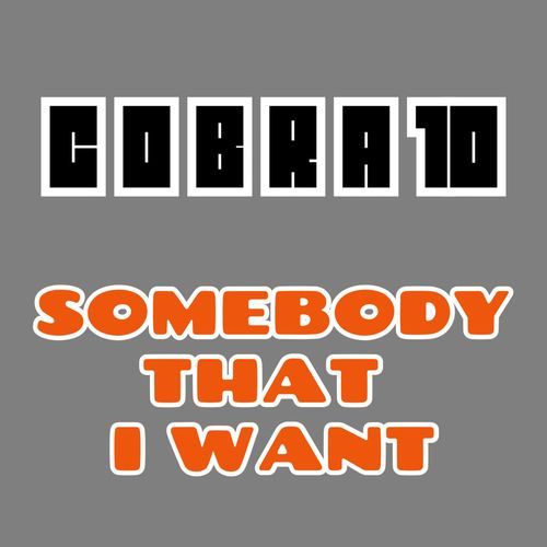 Somebody That I Want cover art