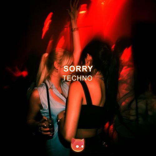 Sorry (Techno Mix)