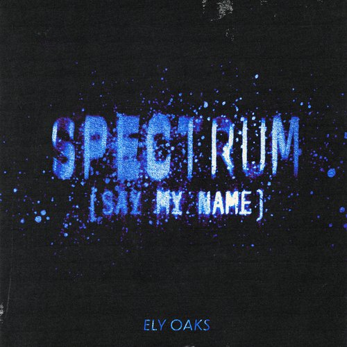 Spectrum (Say My Name)