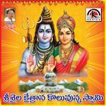 Sri Saila Shikharana Koluvunna Swamy