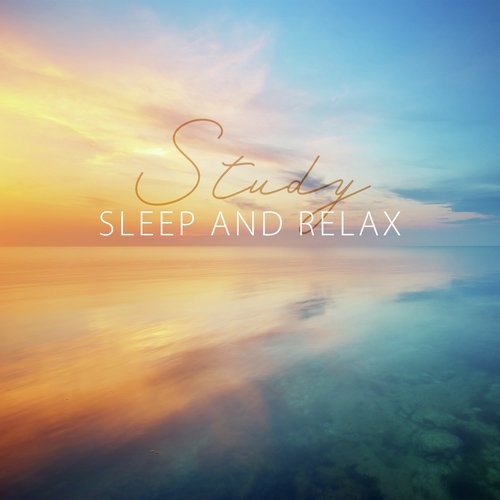 Study, Sleep and Relax (Peaceful Relaxing Music with Pad Tones, Inner Silence Meditation, Concentrate on Breathing, Have a Rest)