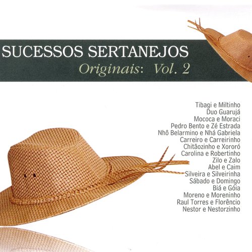 Saudade de Minha Terra