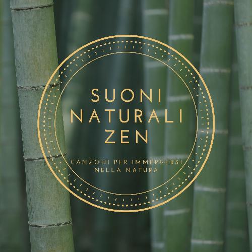 Suoni naturali zen cover art