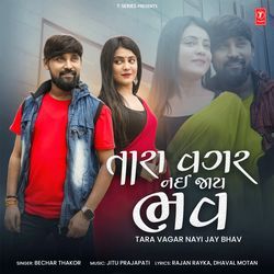 Tara Vagar Nayi Jay Bhav-MzAPaCNcXFI