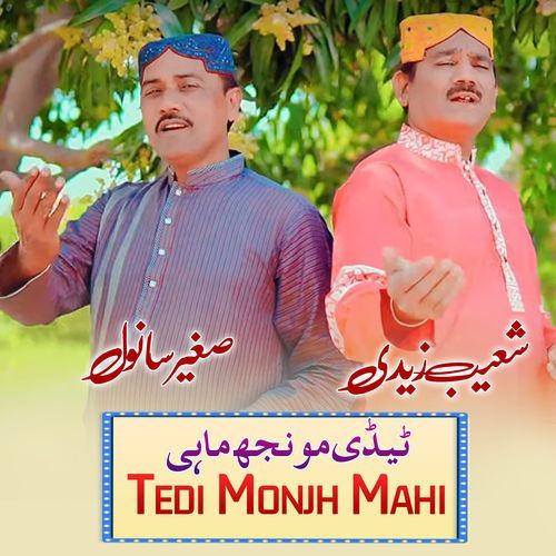 Tedi Monjh Mahi