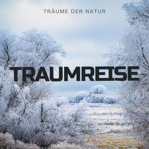 Träume von Sonne