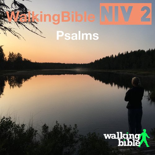Psalm 8:3-4