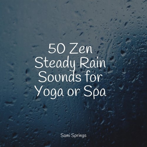 50 Zen Steady Rain Sounds for Yoga or Spa_poster_image