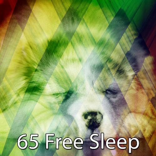 65 Free Sle - EP