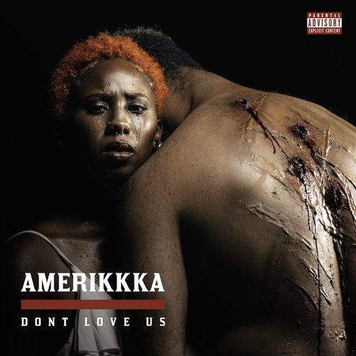 Amerikkka Dont Love Us