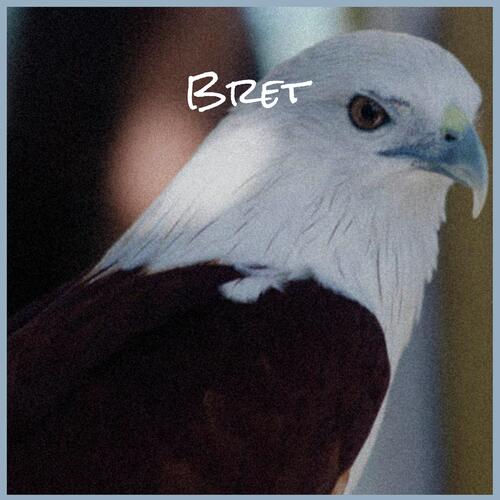 Bret cover art