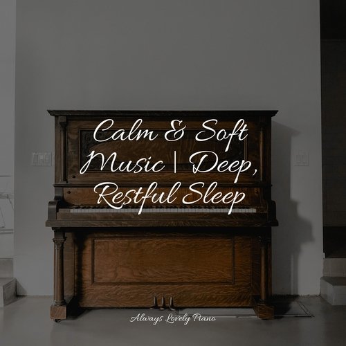 Calm & Soft Music | Deep, Restful Sleep