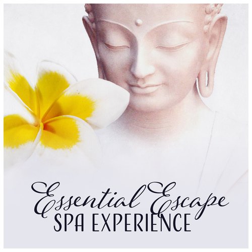 Spa Paradise Zone cover art