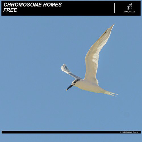 Free cover art