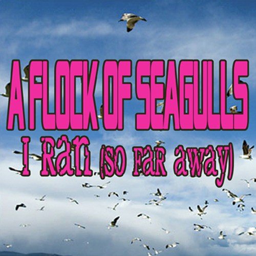 A Flock Of Seagulls