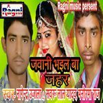 Mora Hota Sagai artwork