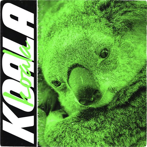 Koala_poster_image