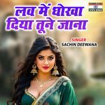 Love Me Dhokha Diya Tune Jana