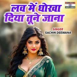 Love Me Dhokha Diya Tune Jana