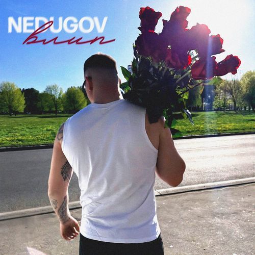 Влип cover art