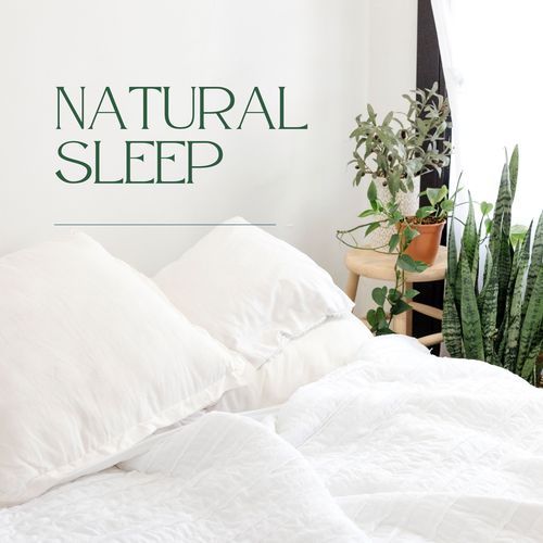 Natural sleep_poster_image