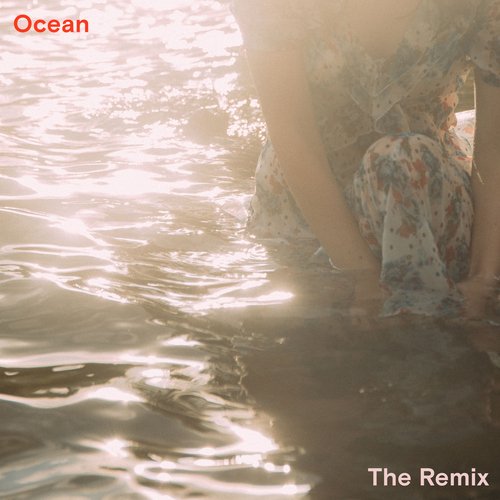 Ocean (Crystal Skies Remix)_poster_image