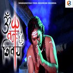 Shiv Tandav Astro