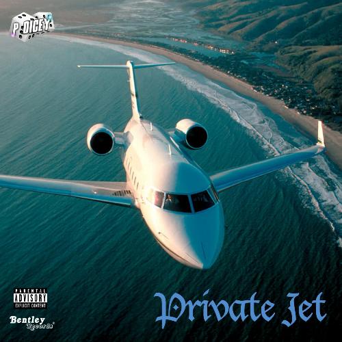 Private Jet_poster_image