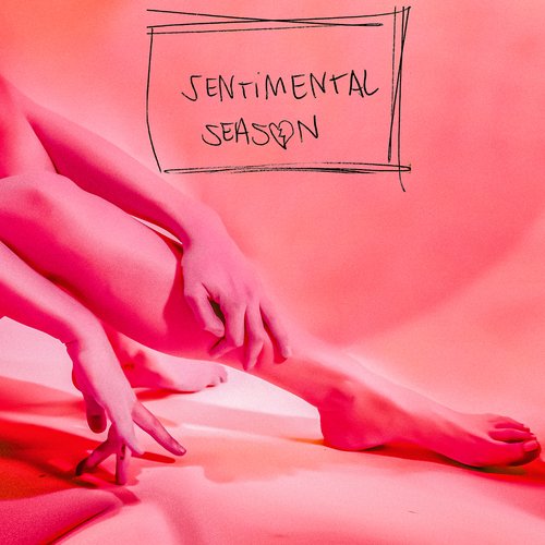 SENTIMENTAL SEASON_poster_image