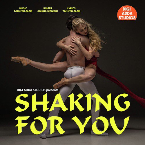 Shaking For You - Single