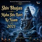 OM Jai Shiv Omkara