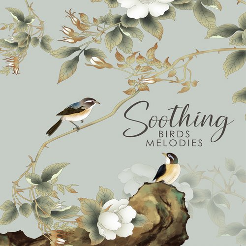 Soothing Birds Melodies: Music to Clear Your Mind from Anxiety and Stress