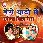 Teri Yaadon Mai Khoya Dil Mera