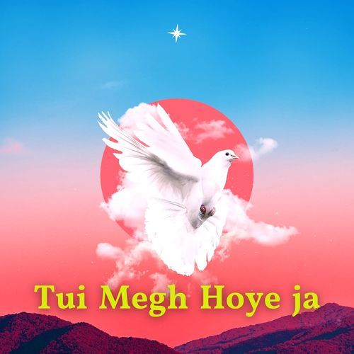 Tui Megh Hoye Ja