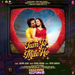 Tum Jo Mile Ho (From &quot;Vicky Vidya Ka Woh Wala Video&quot;)-AQoBewx4fVs